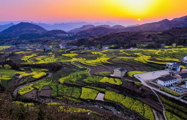 雙鳳梯田