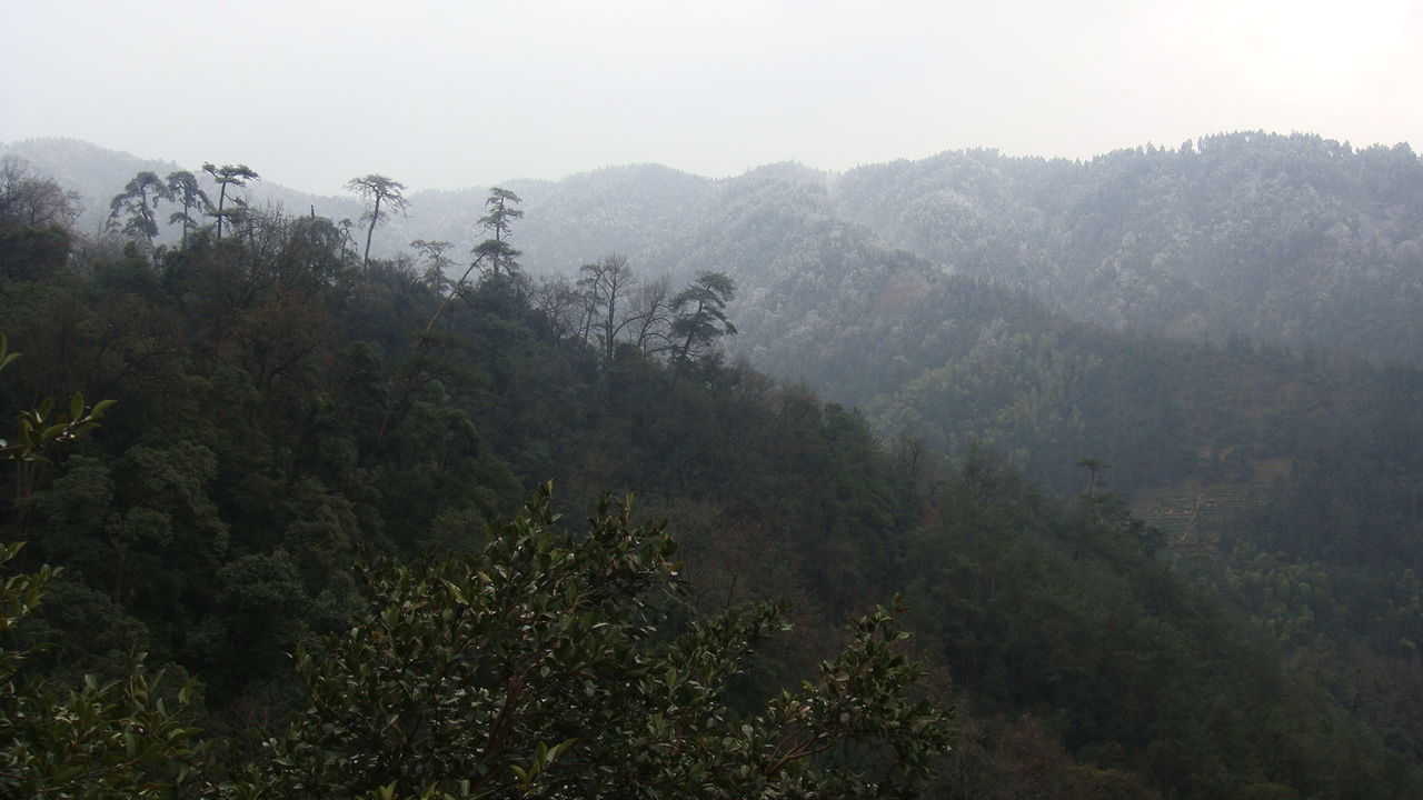 松潭水口林遠眺