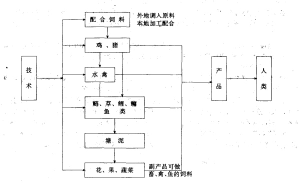 畜禽糞基魚塘模式