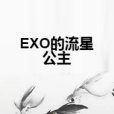 EXO的流星公主