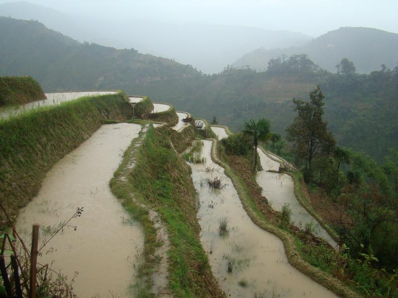 村中田園