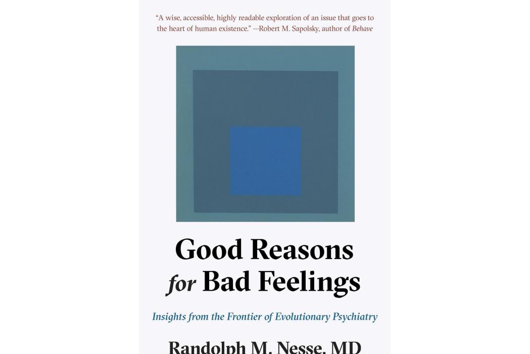 Good Reasons for Bad Feelings