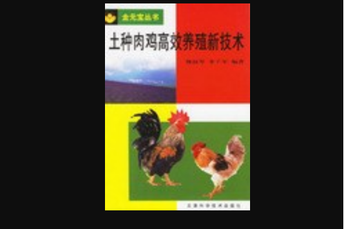 土種肉雞高效養殖新技術
