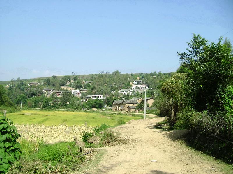 稻田沖村(雲南姚安縣光祿鎮下轄村)