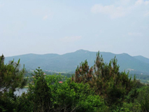 荊門北山遠眺