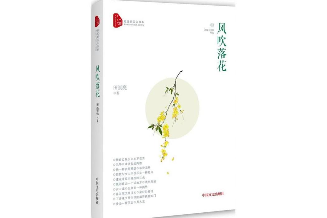 風吹落花(2017年中國文史出版社出版的圖書)