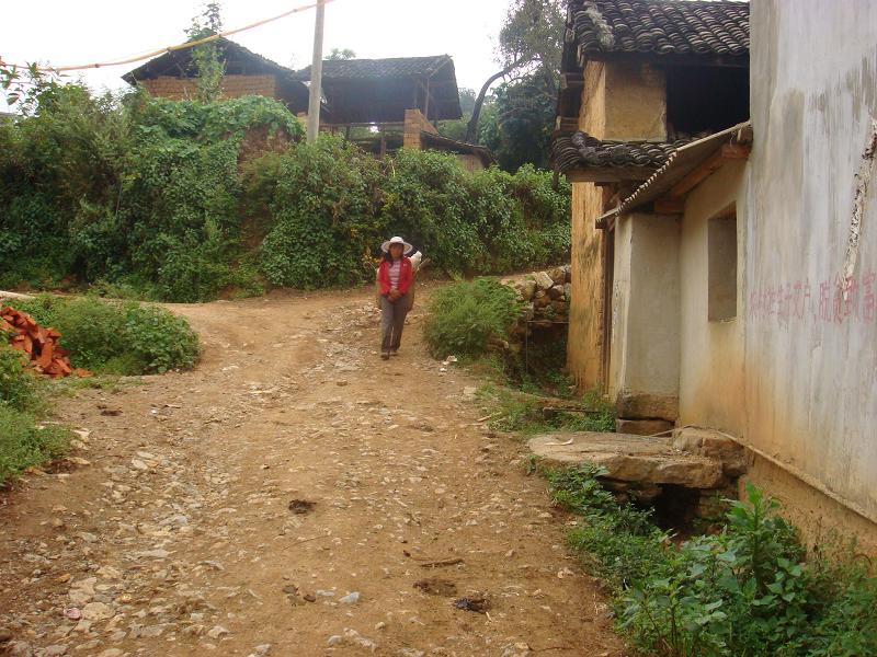 村內道路