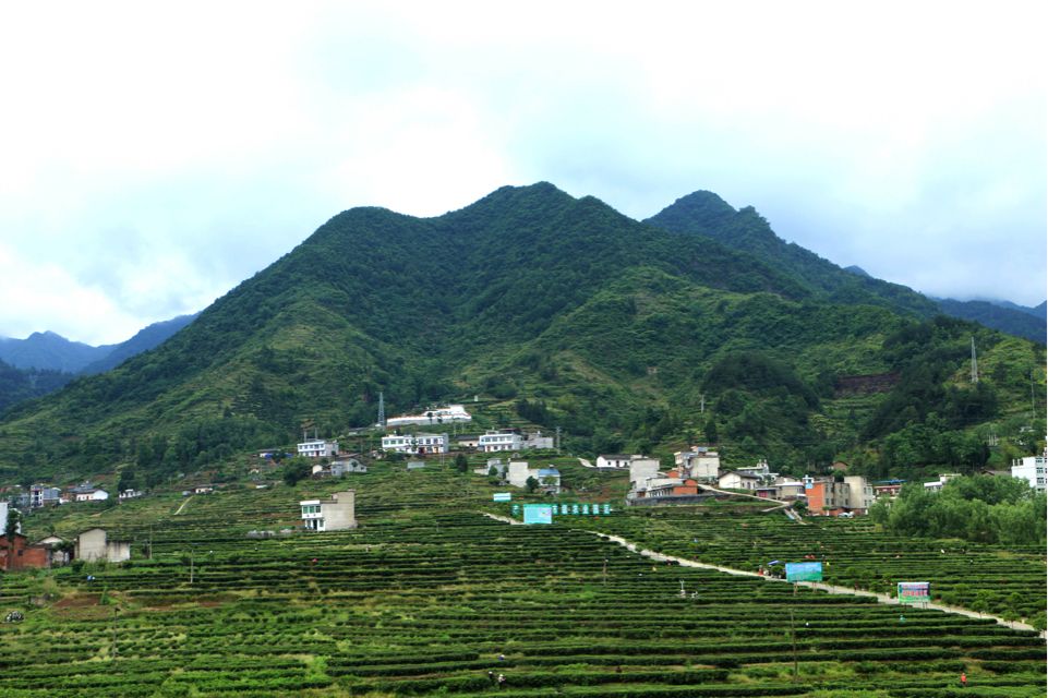 蒿坪村(甘肅省隴南市武都區馬街鎮下轄村)