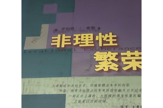 非理性繁榮(2008年中國人民大學出版社出版的圖書)