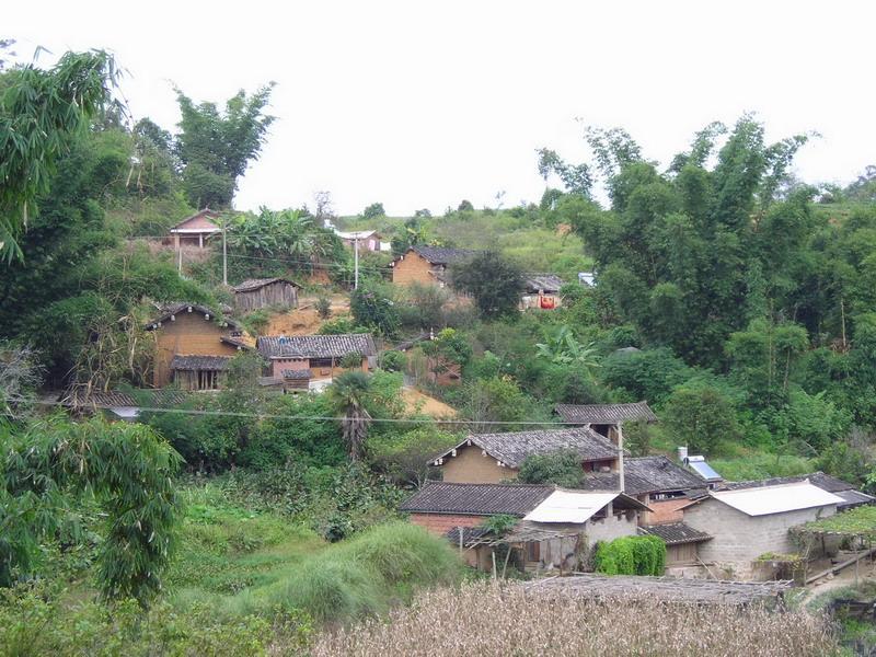 大青樹村(雲南省普洱市思茅區南屏鎮大青樹村)