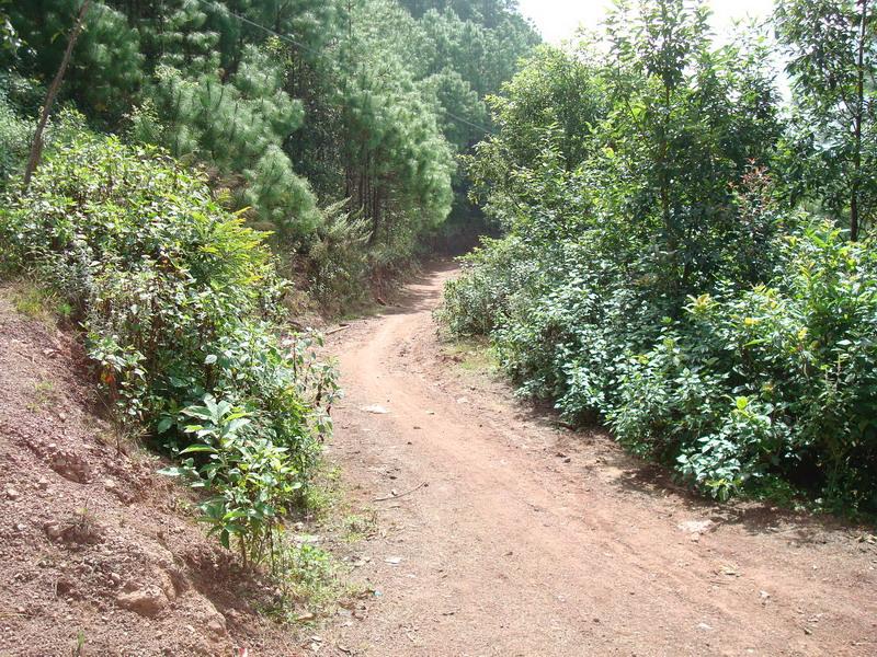 雲南省景東彝族自治縣文井鎮竹蓬村進村道路