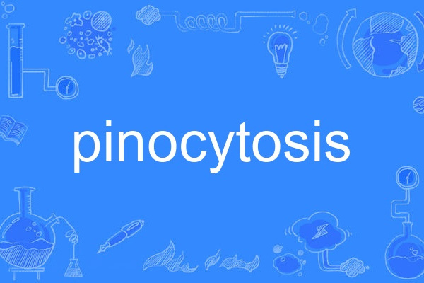 pinocytosis