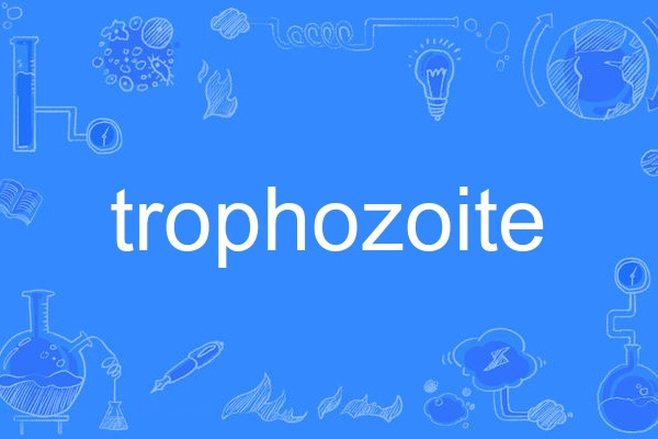 trophozoite