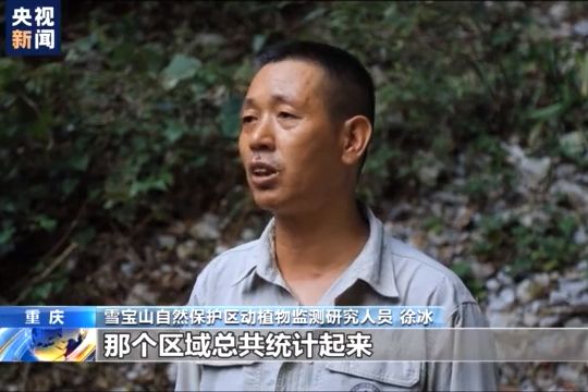 徐冰(雪寶山自然保護區動植物監測研究人員)