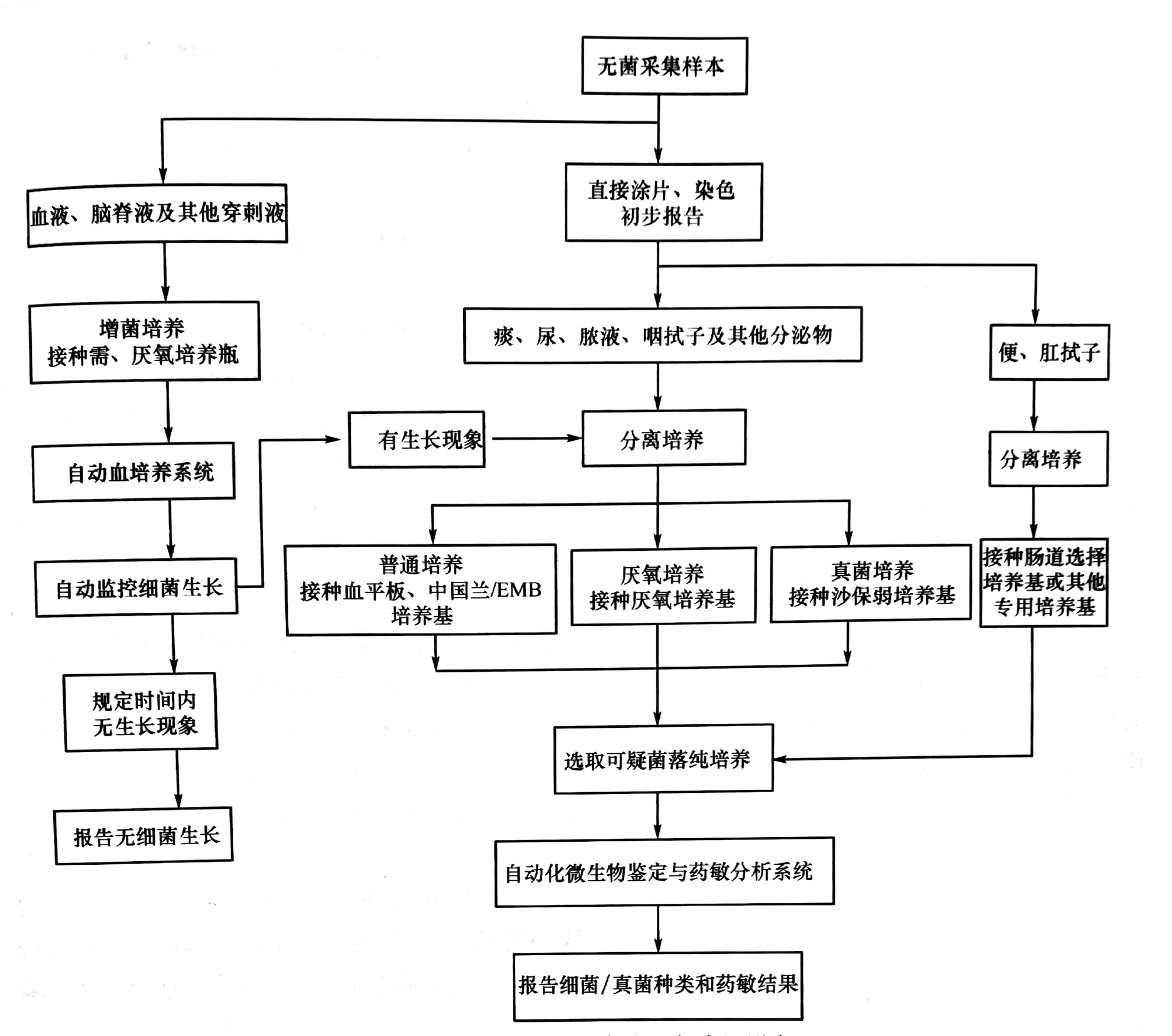 微生物檢驗儀器