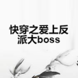 快穿之愛上反派大boss