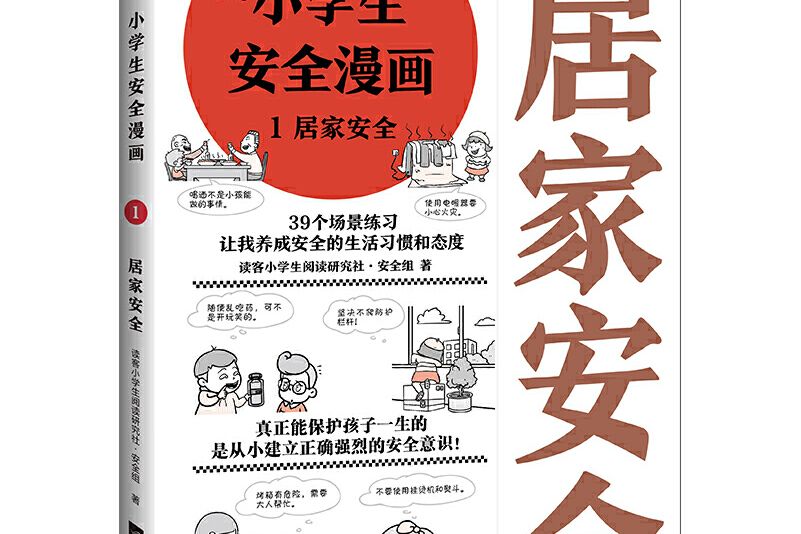 居家安全(2020年江蘇鳳凰文藝出版社出版的圖書)