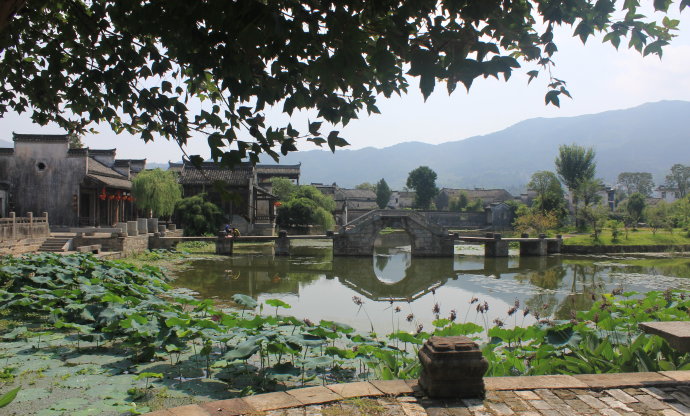 大喬地村(雲南雙柏縣妥甸鎮下轄村)