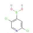 2,5-二氯吡啶-4-硼酸