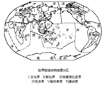 澳洲界