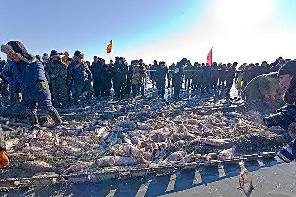 吉林前郭查乾湖蒙古鮊國家級水產種質資源保護區