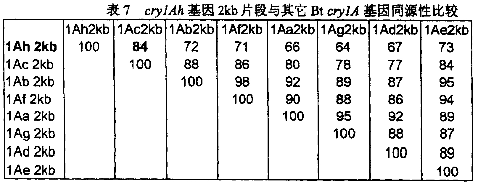 對鱗翅目昆蟲高毒力的Btcry1Ah基因及其表達產物