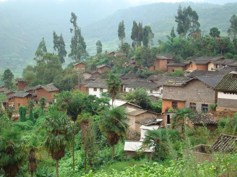 松樹林上村