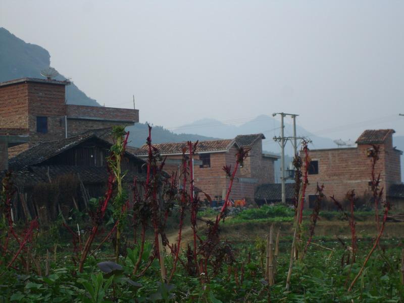 田灣自然村(雲南文山富寧縣歸朝鎮那臘村委會田灣自然村)