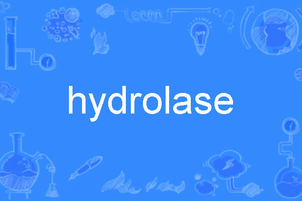 hydrolase