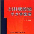 婦科腹腔鏡手術學圖譜(2005年人民軍醫出版的圖書)