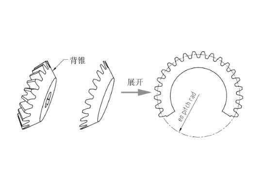 背錐