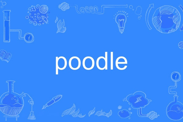 poodle