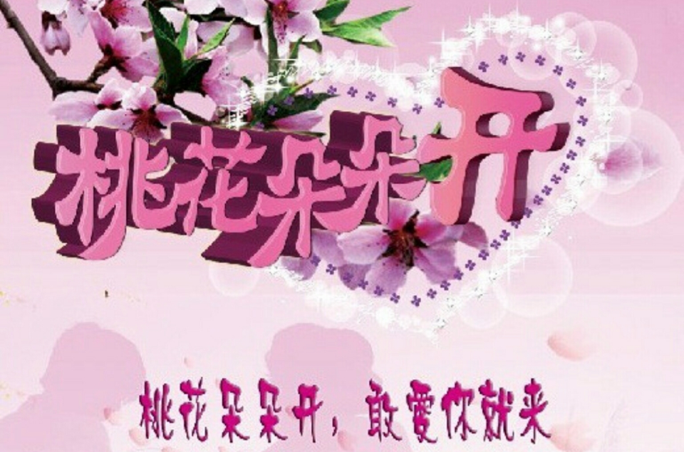 桃花朵朵開(電視節目)