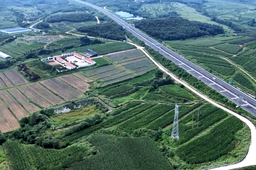 簸箕掌村(山東省乳山市下初鎮下轄村)