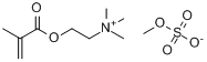 N,N,N-三甲基-2-[（2-甲基-1-氧代-2-丙基）氧]-乙氨甲基硫酸酯