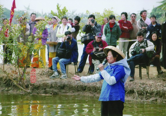 鹹水歌對唱比賽