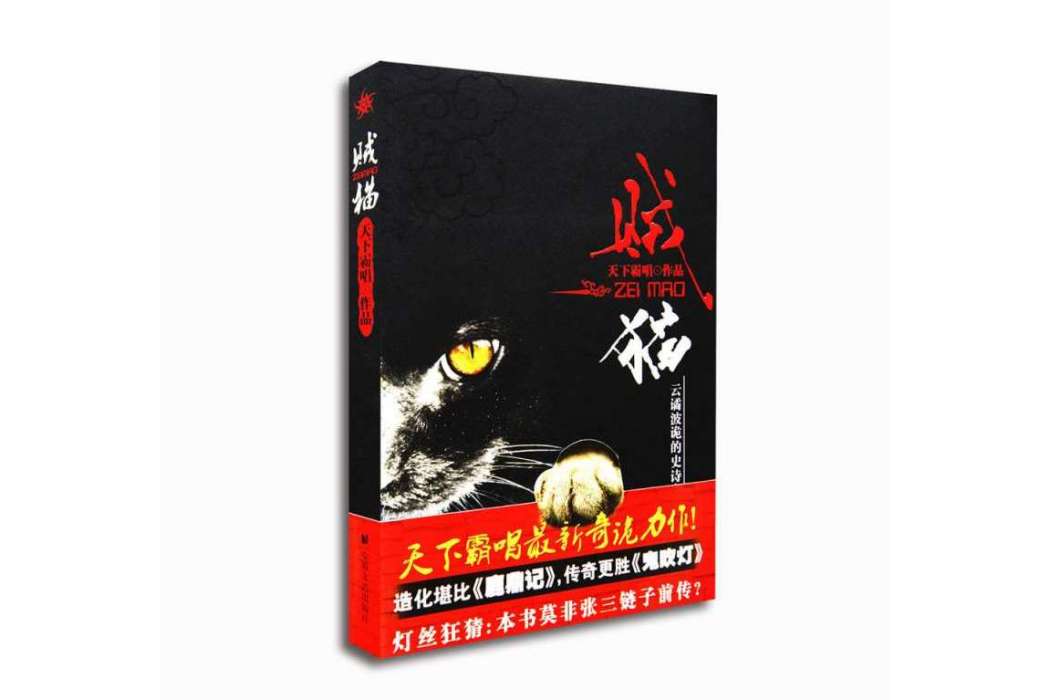 賊貓(2008安徽文藝出版社出版的圖書)