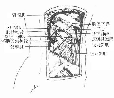 腰三角