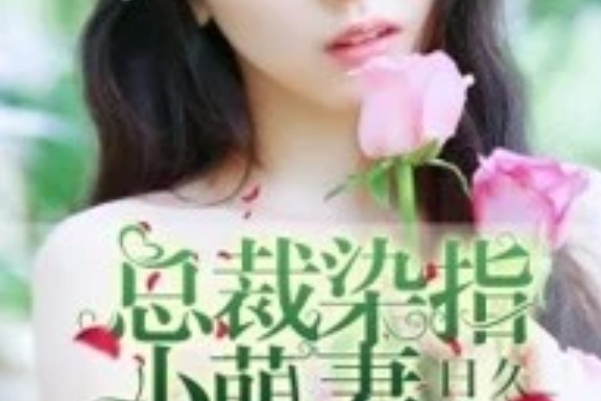 總裁最愛小萌妻(夢鈴微雨著網路小說)