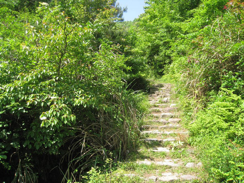 樟村崔岙矗起岩古道