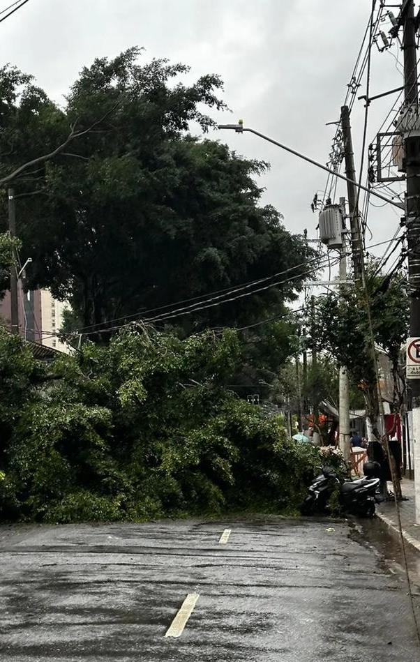 2023年巴西暴雨