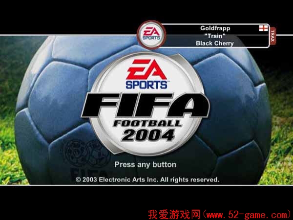 FIFA世界足球2004