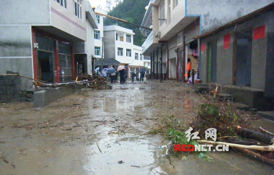 渠江鎮城坪村：2010年水澇