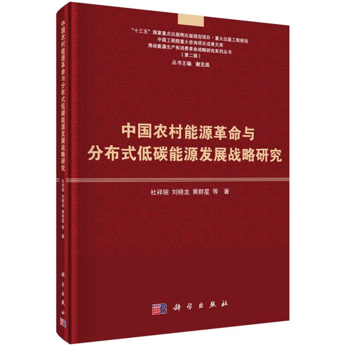 中國農村能源革命與分散式低碳能源發展戰略研究