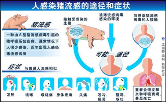 豬流感病毒