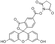 5-羧基螢光素琥珀醯亞胺酯