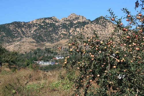 正明山村