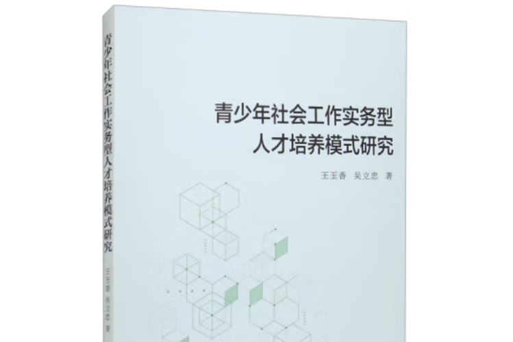 青少年社會工作實務型人才培養模式研究