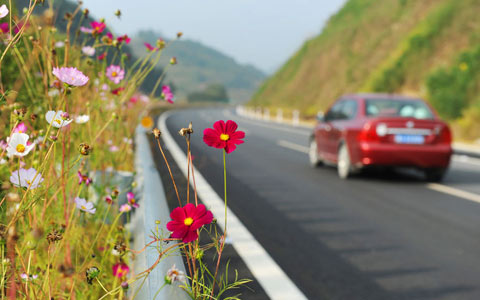 鳳凰—大興高速公路