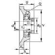 FAG PCJ1-1/8軸承